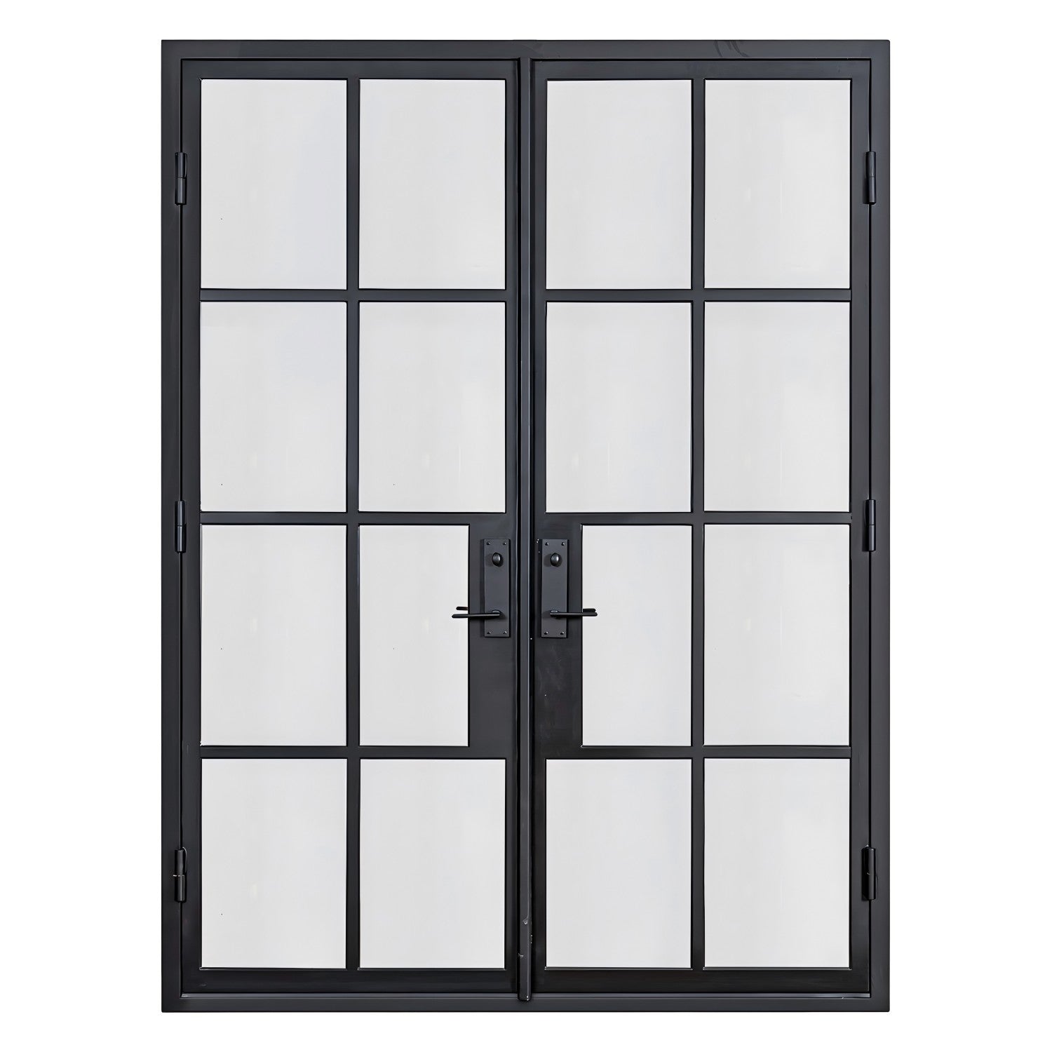 Lion Iron Door Steel French Double Door 8-Lites