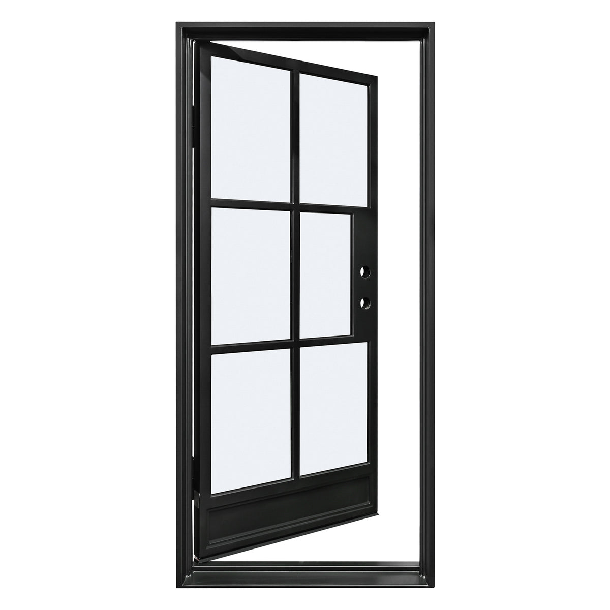 Lion Iron Door Steel French Single door-6 Lite with Kickplate