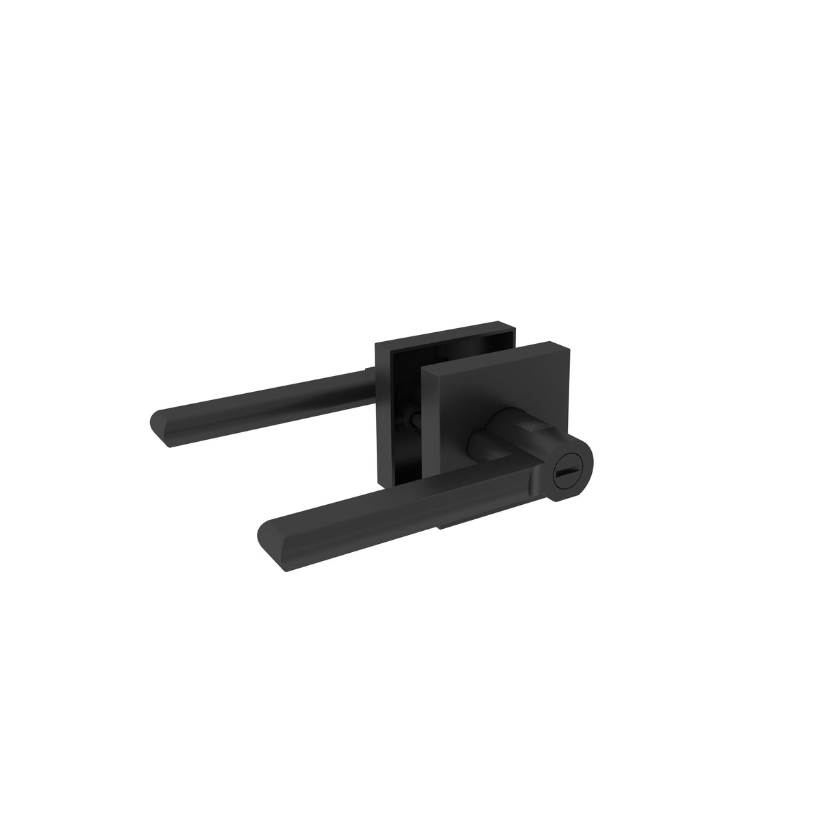 Custom Order - Interior Swing Door 4 Lite Single