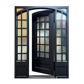Custom Order - Lion V1 Sidelights- Single Square