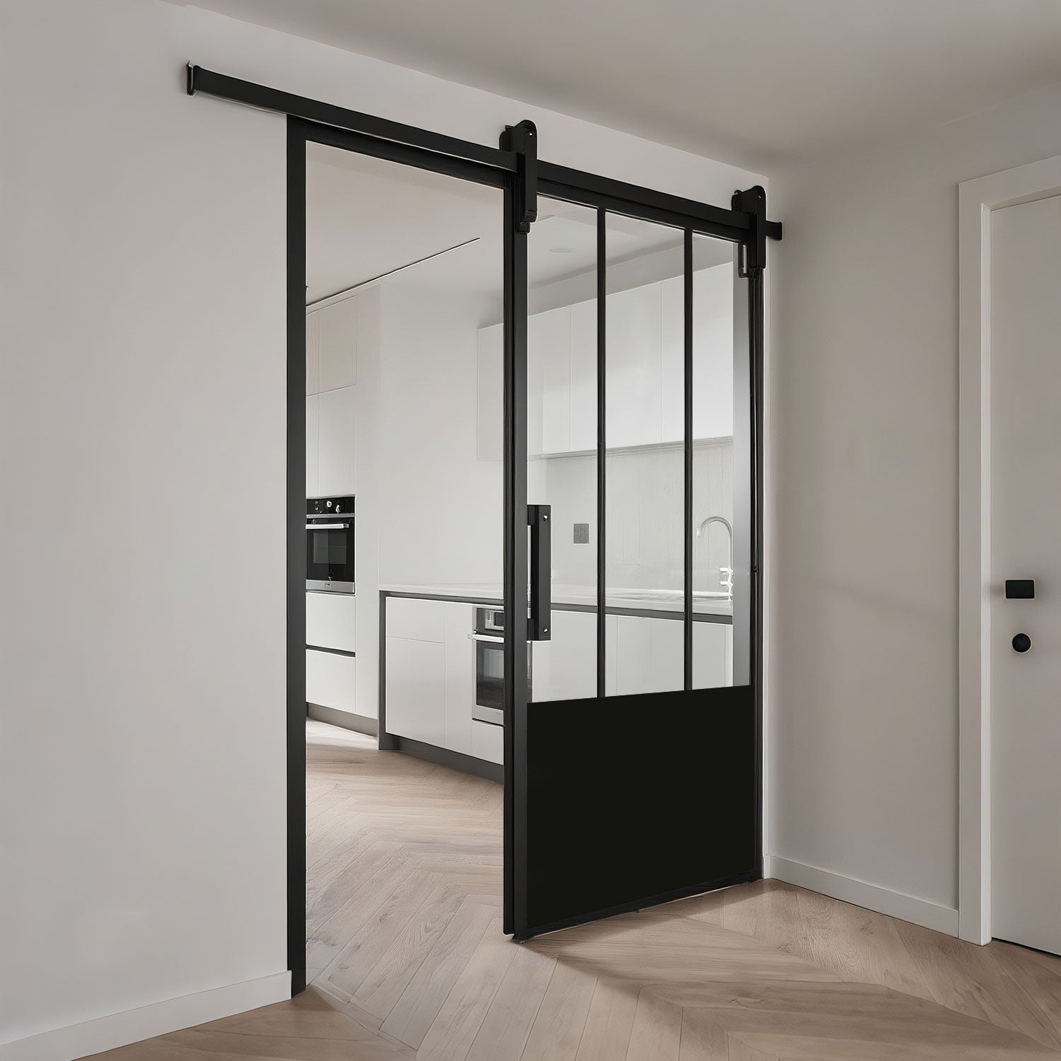 Barn door - 3 lite with kickplate
