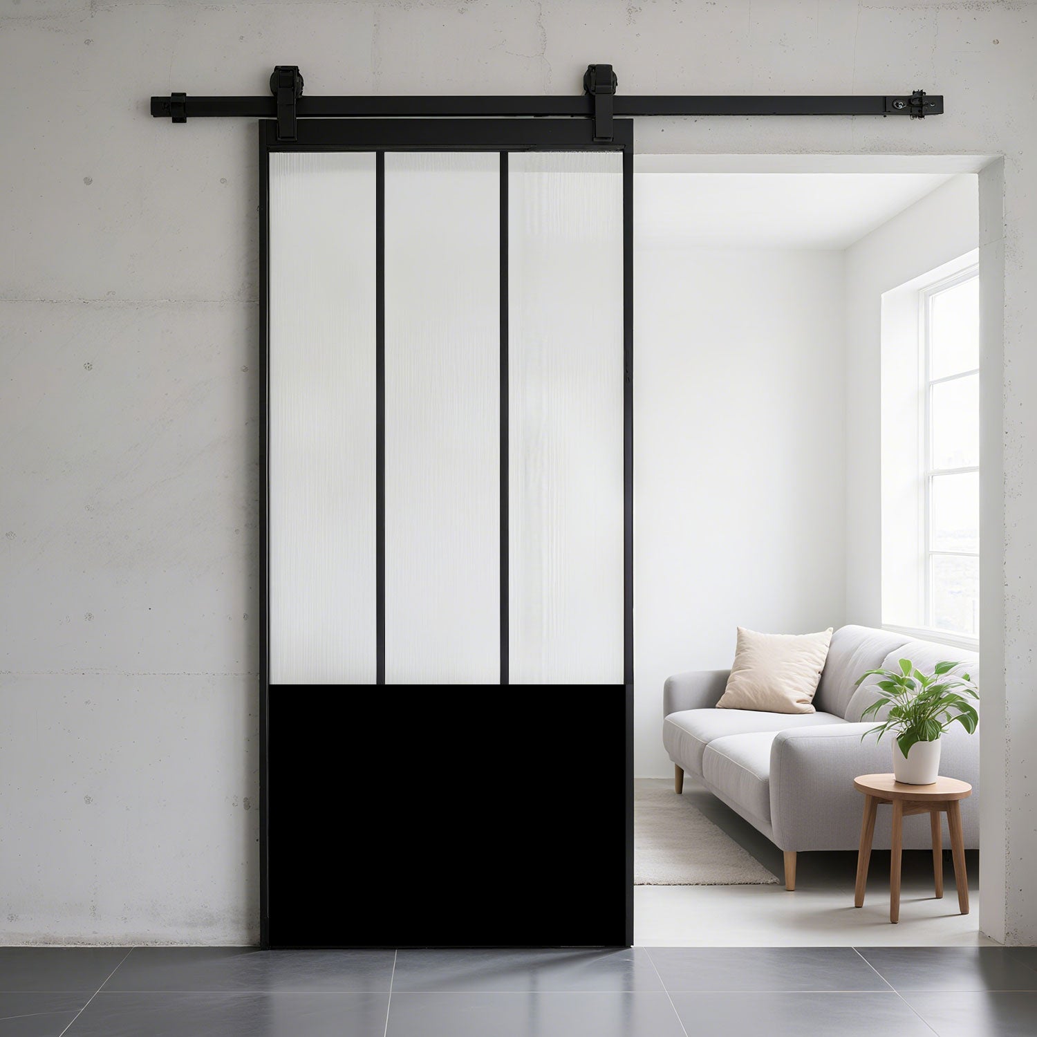 Barn door - 3 lite with kickplate
