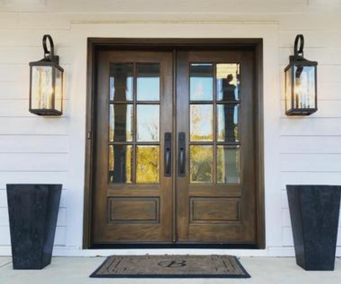 Modern Iron Doors