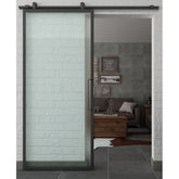 Lion Iron Doors Steel Single Lite Barn Door (V5)